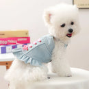 Small white dog wearing a light blue denim dress with pink buttons on a white surface, Obroi
