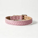 Engraved Pet Collars Leather Small Medium Dog Collar and Tag Set Dogs Accessories