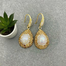 Gold earrings with pearl-like centers on a gray surface with a plant in the background, Obroi