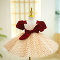 Baby Girl Princess Dress Bow Velvet Dress Puff Sleeve Infant Child Teen Pageant Baby Clothes1-12Y