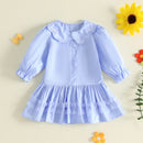 Toddler Kids Girls Fall Shirt Dress Bow Pattern Dress