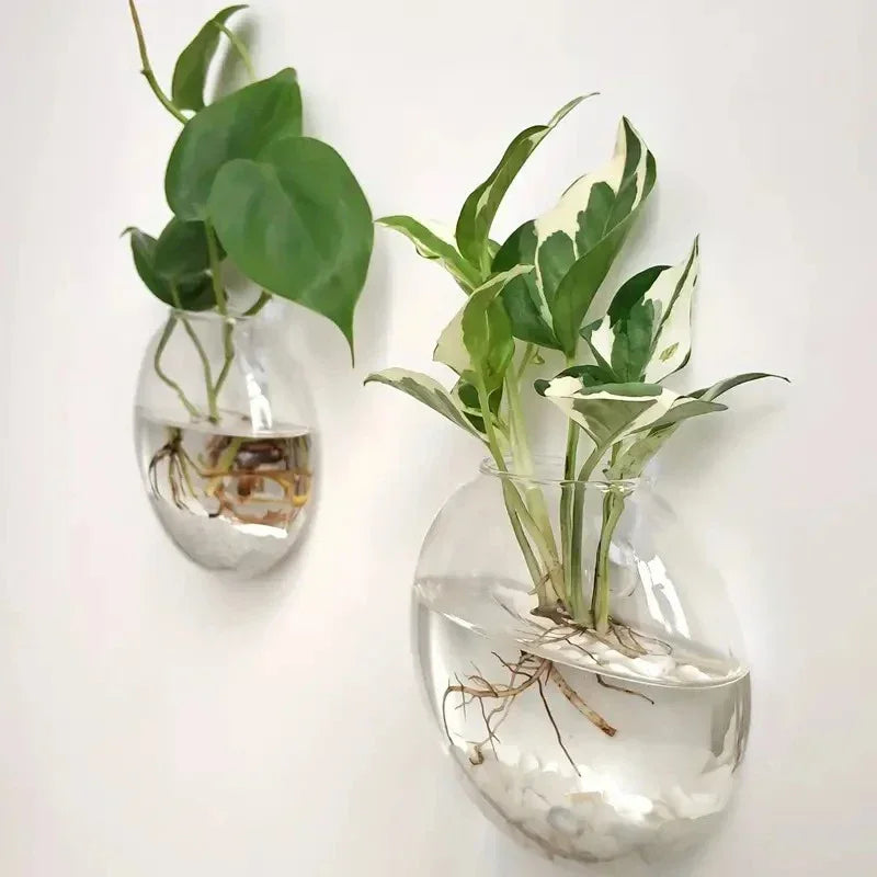 Hydroponic Glass Vase Wall Hanging Fish Tank Aquarium Container Flower Planter Potted