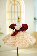 Baby Girl Princess Dress Bow Velvet Dress Puff Sleeve Infant Child Teen Pageant Baby Clothes1-12Y