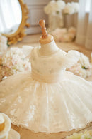 Girls First Birthday Dress Summer Princess Dress for Baby Girls Host Flower Girl Wedding Light Luxury