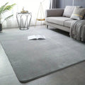 Modern Minimalist Coral Fleece Carpet Living Room Bedside Rug Home Decoration