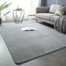 Modern Minimalist Coral Fleece Carpet Living Room Bedside Rug Home Decoration