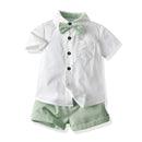 43118414299292|43118414332060|43118414364828|43118414397596|43118414430364|43118414463132|43118414495900