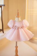 Girl's Dress Children's Flower Girl Wedding Little Girl Birthday Full-Year Baby Girl Princess Dress