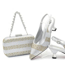 Set for Wedding Women Shoes and Bags To Match Set with Rhinestone Lady Pumps Women Shoes Luxury
