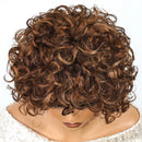 Pixie Curly Human Hair Wigs Highlight Short Jerry Curl Wig Easy Wear Glueless Wig Curly Bob Wig For Women