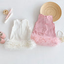 Girl Bow Princess Dress Summer Baby Girl Mesh Skirt Children Dress