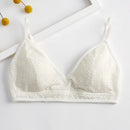 43681305133212|43681305165980|43681305657500