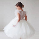 Christmas Elegant Princess Costume Flower Girls Dress Ball Gown Baby Kids Dresses Wedding Party Red