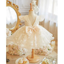 Girls First Birthday Dress Summer Princess Dress for Baby Girls Host Flower Girl Wedding Light Luxury