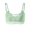 43625742499996|43625742565532|43625742598300|43625742631068