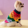 Small dog wearing a colorful sweater with a rainbow pattern on a pink background, Obroi