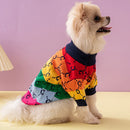 Small dog wearing a colorful sweater with a rainbow pattern on a pink background, Obroi