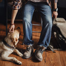 Person petting a dog on a wooden floor with a backpack in the background, Obroi