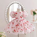 Summer Girls Dress Kids Dresses for Girls Clothes Children Clothes Toddler Teens Princess Dress Pink Strawberry