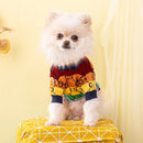 Small white dog wearing a colorful sweater on a yellow stool with a yellow background, Obroi