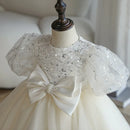 Spring Girls Princess Dress Toddler Baby Girls Baptism Christening Gown Party Wedding Princess White Tulle