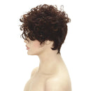 Short Curly Brown Wigs for Women Natural Looking Cosplay Hair Wigs