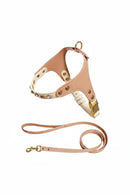 Leather dog harness and leash set on a white background, Obroi