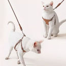Adjustable Leather Cat Harness and Leash Set Kitten Accessories Pet Items Gatos Accesorios Cat Anti Bite