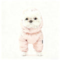 Teddy Poodle Small Dog Pet Dog Winter Clothes Thick Down Cotton Jacket for Warmth and Cold Protection