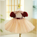 Baby Girl Princess Dress Bow Velvet Dress Puff Sleeve Infant Child Teen Pageant Baby Clothes1-12Y