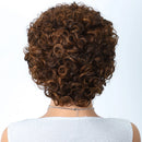 Rear view of a person with a short, voluminous, tightly curled wig in medium-to-dark brown with subtle lighter brown highlights, wearing a silver chain necklace and a sparkly light gray top against a plain white background, Obroi
