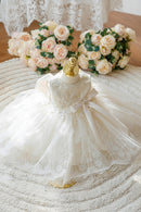 Infant Ball Gown Flower Wedding Lace Sleeveless Cute Princess Dress Toddler Baby Baptism Dresses