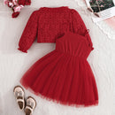 Spring Summer Baby Girl Clothes Mesh Flowers Long Sleeve Tops Princess Dresses Boutique Kids Clothing
