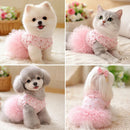 A four-panel collage showing a small white puppy and a gray cat wearing matching pink tutus and pet dresses with floral lace details. The top-left panel shows the white puppy standing, the top-right shows the gray cat reclining, the bottom-left shows the gray puppy seated, and the bottom-right shows the white dog from behind wearing the dress with a pink bow and fluffy tail, Obroi