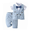 42678353854620|42678353952924|42678353985692|42678354018460