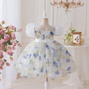 Girls Summer Chiffon Dress Floral Children Kids Birthday Casual Gown One-piece 2-10 Years