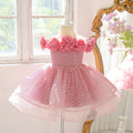 Pink dress with floral details on a mannequin in a room with a mirror and window, Obroi