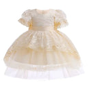 White Girl Princess Dress Flower Girl Wedding Dress Fluffy Embroidered Lace Carnival Dress Old Children's Clothing