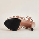 Women Sandals Pole Dancing Sexy Platform Buckle Strap Pumps Shoes Summer