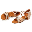 Standard Shoes Woman Ballroom Latin Shoes for Girls/Ladies Low Heel Sandals Soft Suede Sole