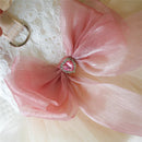 Female Tulle Dresses Ribbon Bow Dog Clothes For Small Medium Dogs Party Skirt Pet Apparels