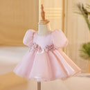 Girl's Dress Children's Flower Girl Wedding Little Girl Birthday Full-Year Baby Girl Princess Dress