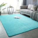 Modern Minimalist Coral Fleece Carpet Living Room Bedside Rug Home Decoration