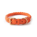 Orange braided dog collar with brass buckle on a white background, Obroi
