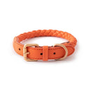 Orange braided dog collar with brass buckle on a white background, Obroi