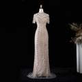 Champagne Evening Dress Sheer Sleeve Grid Rhinestone Mermaid Formal Occasion Gown