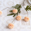 Decorative peach flowers and green leaves on a white lace tablecloth, Obroi