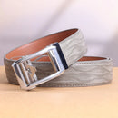 43685711675548|43685711708316|43685711741084