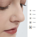 2/8PCS Stainless Steel Stud Cartilage Piercing Jewelry Helix Tragus Lip Gold Tiny Earrings for Women