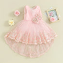 Summer Kids Toddler Girls Tulle Dress Sleeveless Embroidery Party Dress Wedding Pink Clothes